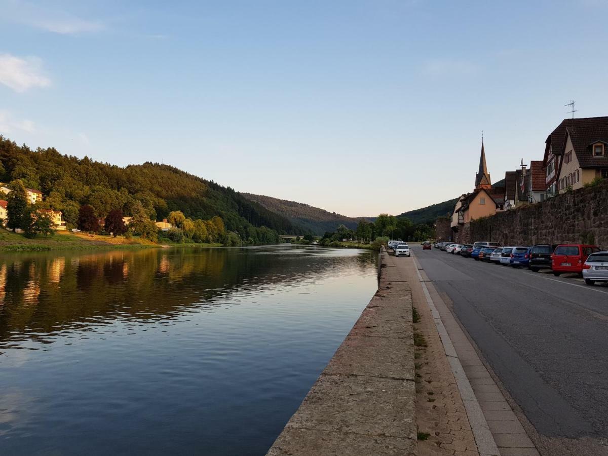 Romantische Ferienwohnung Hirschhorn-Altstadt, top Lage Buitenkant foto